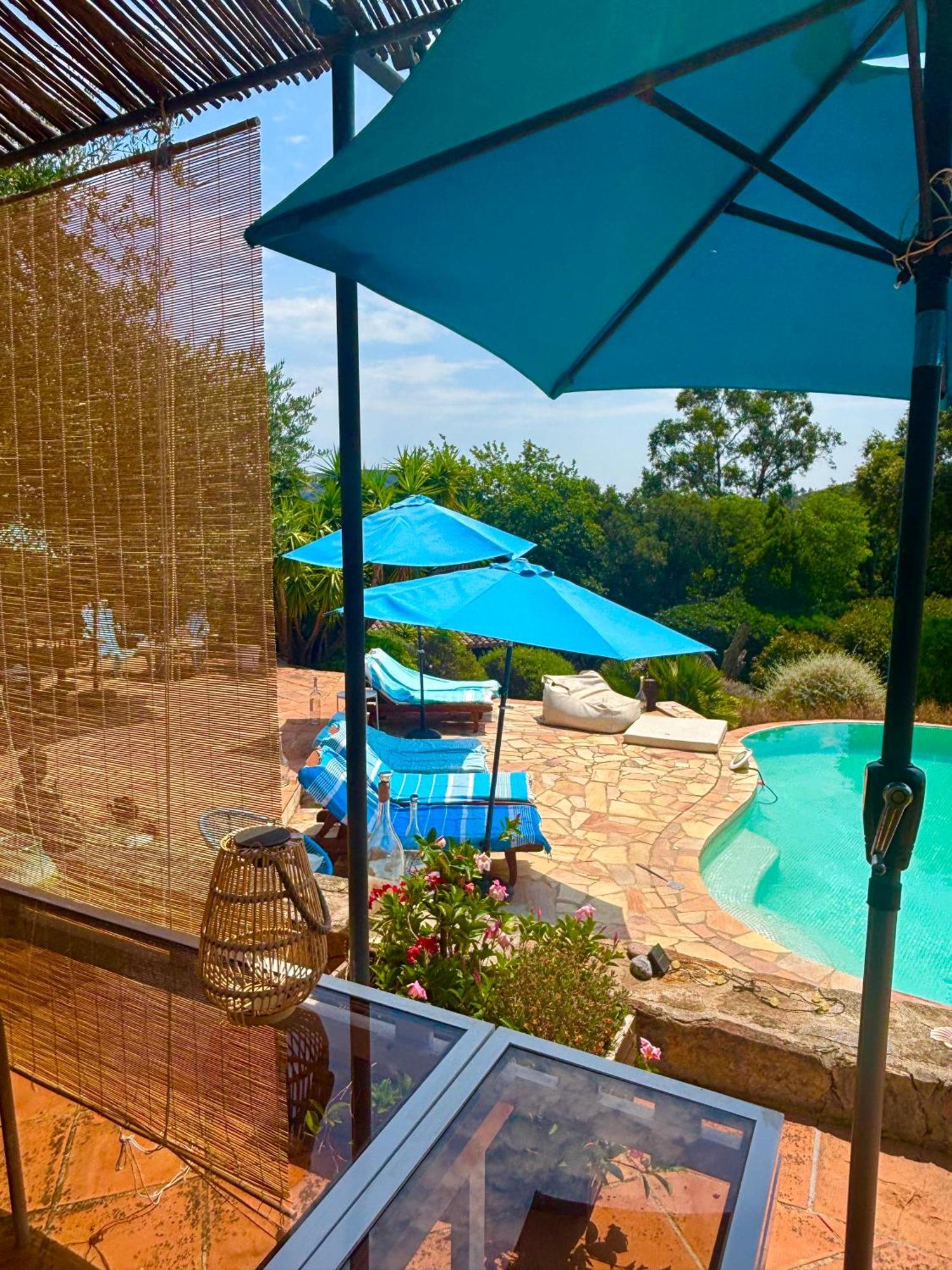 Family Room Pool View