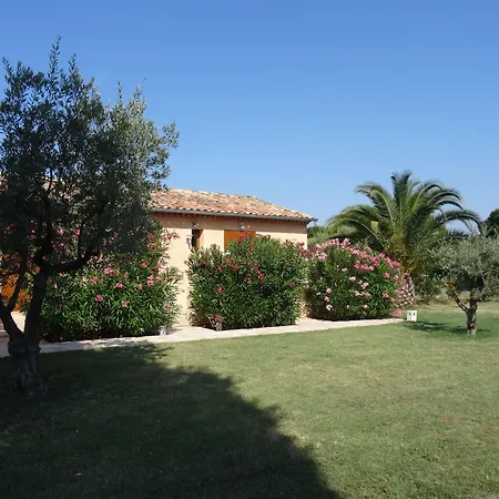 Chambres d'hôtes Villa Alizé-3
